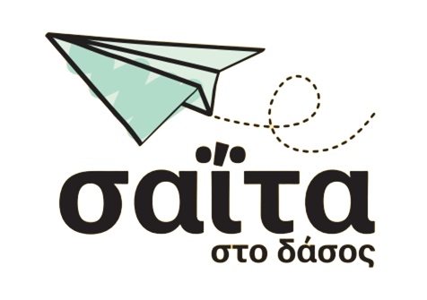 Σαΐτα στο Δάσος